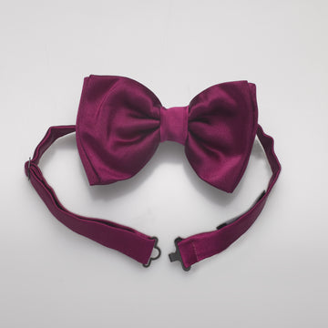 The Light and Eye Evening Bow Tie